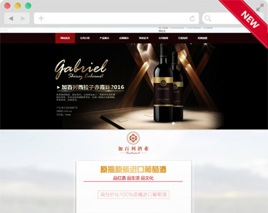 东莞加百列酒业网站建设案例