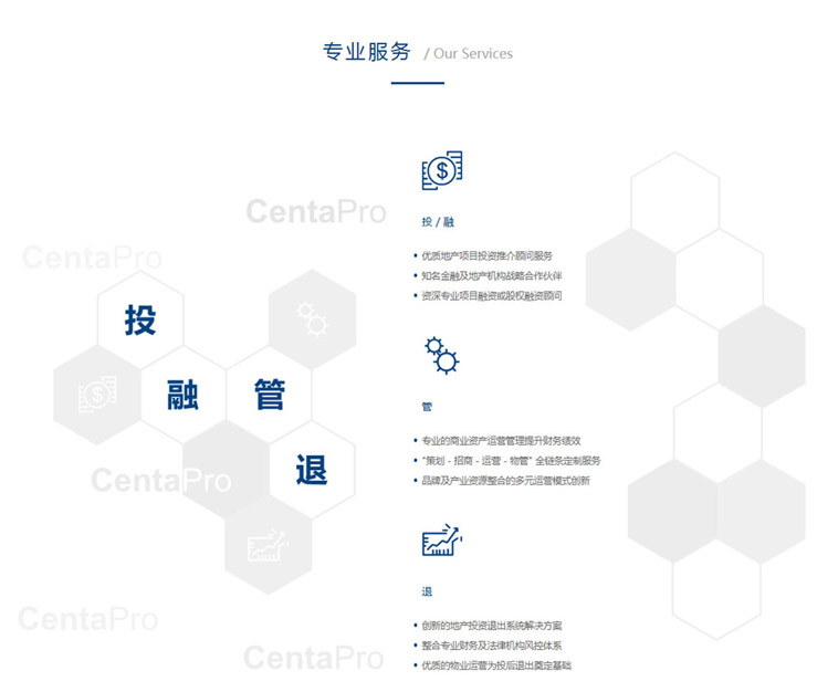 森拓普地产网站制作案例